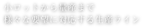 小ロットから量産まで 様々な要望に対応する生産ライン